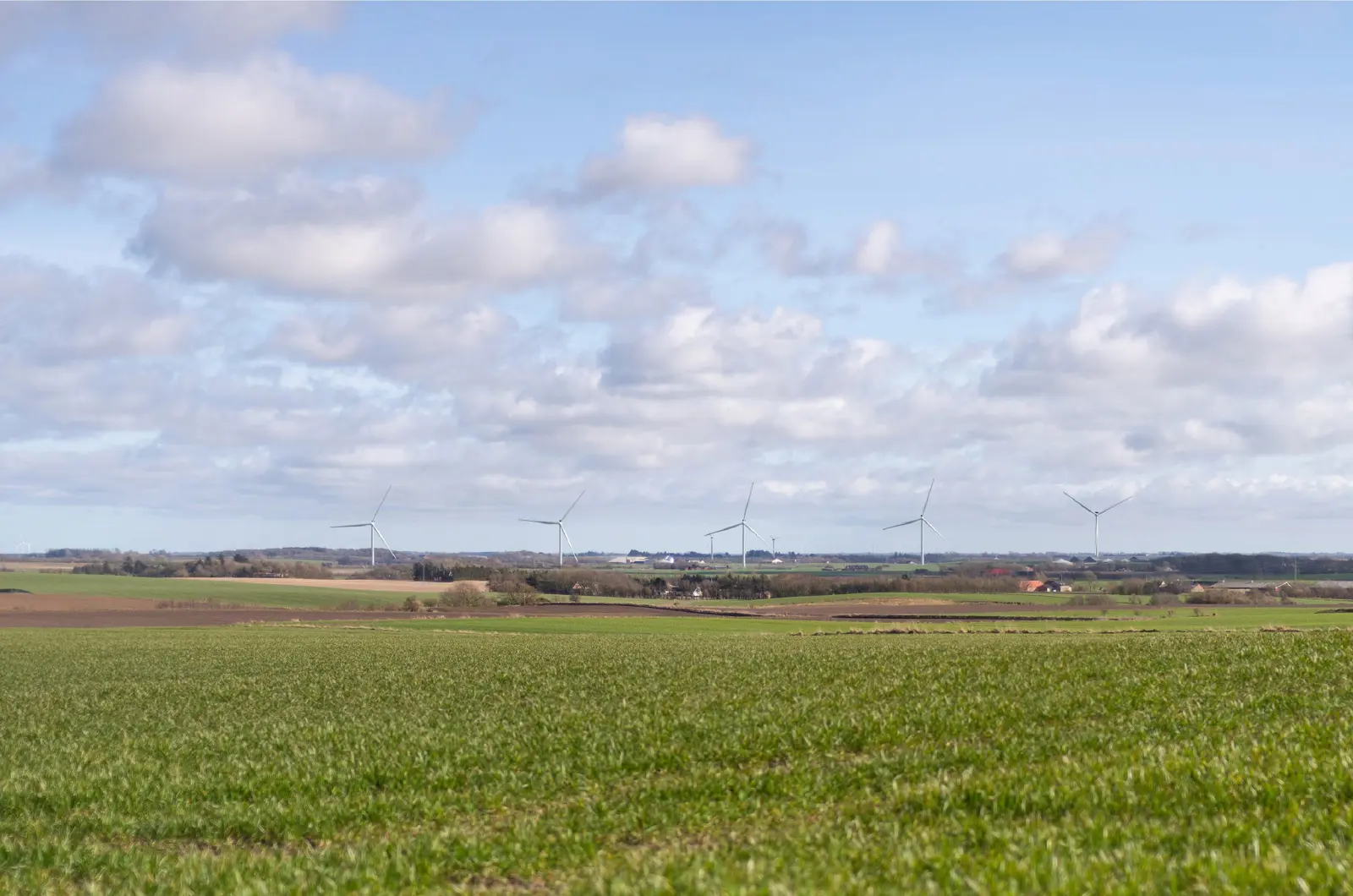 Mark med vindmøller i baggrunden